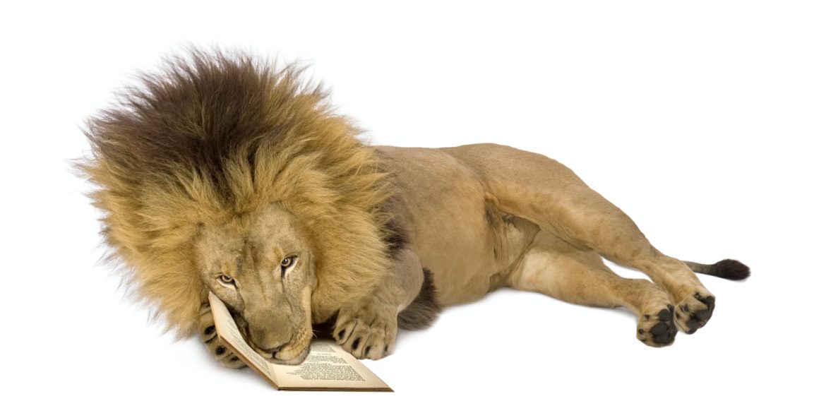 Mitmachangebot – Leseclub mit „Der Löwe, der nicht kochen kann“