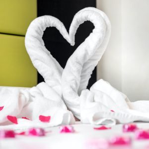 Towel swans on the bed