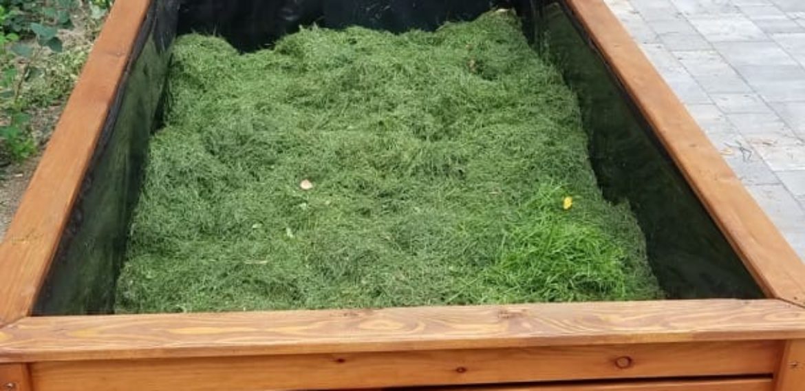 Garten der Sinne – ein Naturprojekt