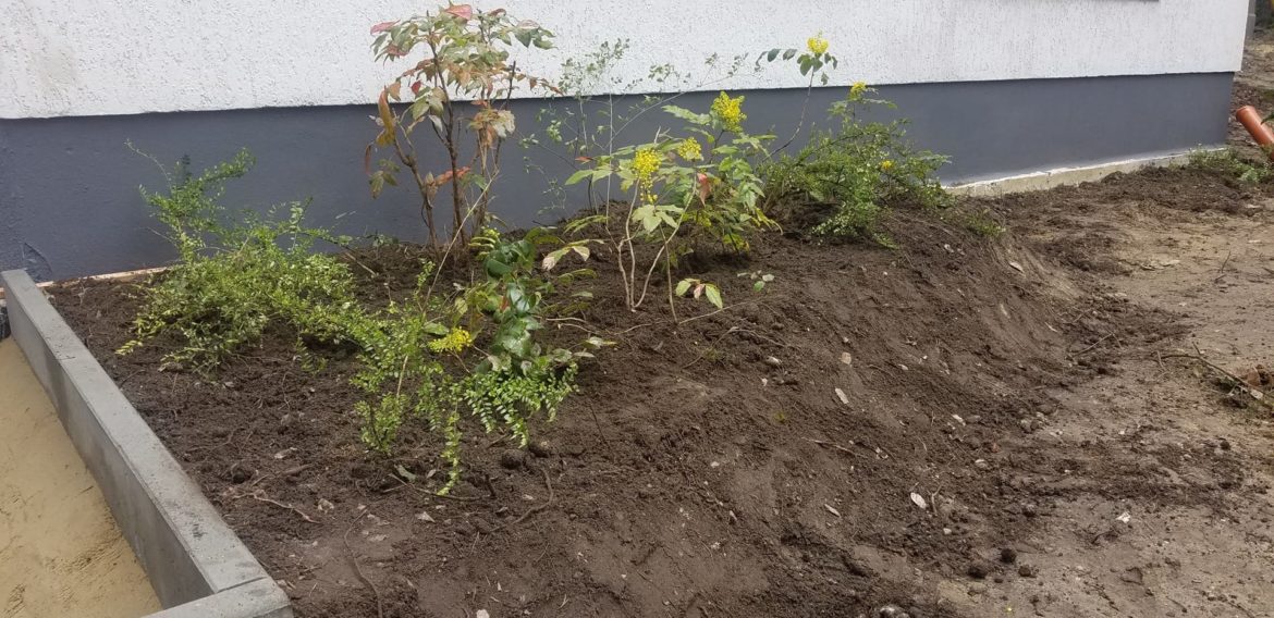 Garten der Sinne – ein Naturprojekt