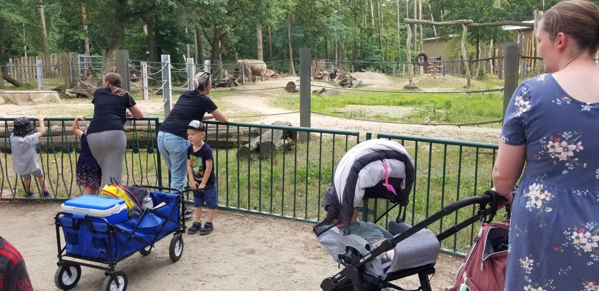 Aus dem Familientreff – Besuch im Tierpark