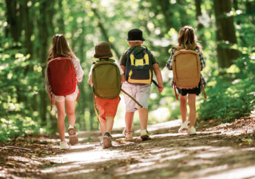 Mit dem Familientreff eine Waldchallenge am 28.04.25 erleben