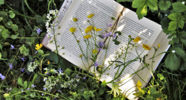 Sommerferien | Lesen im Grünen