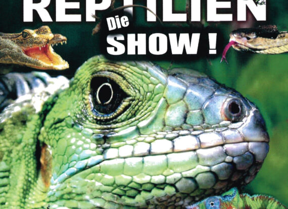 Welt der Reptilien – die Show zum Anfassen!